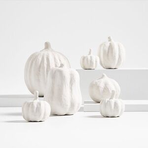 Crate&Barrel Decorative White Pumpkins, Set of 7